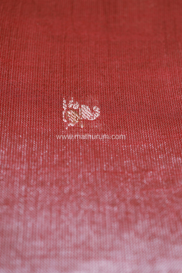 Samira - Maroon Saree