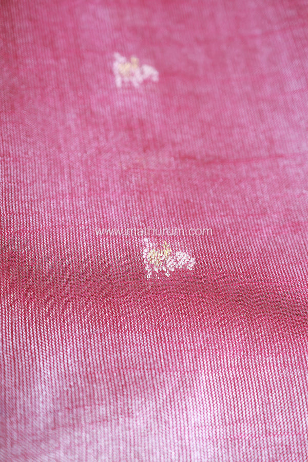 Samira - Wine Saree